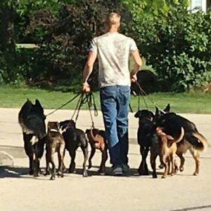 Meet your Posher, Jake